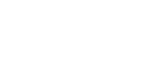 MSP501 2022